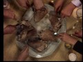 Bauern, Bonzen und Bomben - Große Geschichten Bauern, Bonzen und Bomben - Große Geschichten
