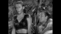 Tarzan - Lex Barker Collection