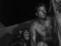 Tarzan - Lex Barker Collection / Remastered Edition
