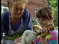 Neues vom S�derhof - Staffel 1 & 2 (