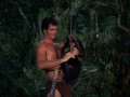Tarzan - Volume 1 (Kultserie mit Ron Ely)