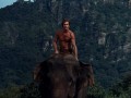 Tarzan - Volume 1 (Kultserie mit Ron Ely)