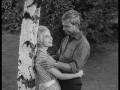 Stadtpark (1963)