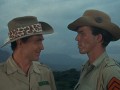 Tarzan - Volume 3 (Kultserie mit Ron Ely)