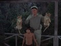 Tarzan - Volume 3 (Kultserie mit Ron Ely)