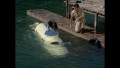 Flipper - Staffel 1 (Blu-ray)