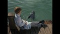 Flipper - Staffel 1 (Blu-ray)