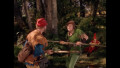 Die Abenteuer des Robin Hood - K�nig der Vagabunden (The Adventures of Robin Hood)
