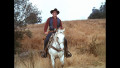 Die Leute von der Shiloh Ranch - Staffel 5 (HD-Remastered)