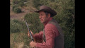 Die Leute von der Shiloh Ranch - Staffel 7 (HD-Remastered)