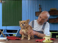 L�wenzahn Classics - Box 2 (mit Peter Lustig)