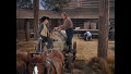 Bonanza - Staffel 1 (Blu-ray)
