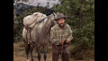 Bonanza - Staffel 1 (Blu-ray)