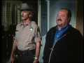 Cannon - Staffel 3