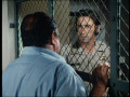 Cannon - Staffel 4