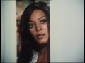Cannon - Staffel 5