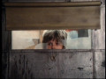 Cannon - Staffel 5