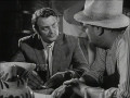 Mafia - Die ehrenwerte Gesellschaft
