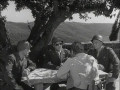 Mafia - Die ehrenwerte Gesellschaft