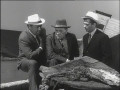 Mafia - Die ehrenwerte Gesellschaft