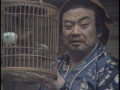 Der starke Lu (Lu zhishen)