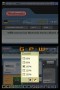 Nintendo DS Browser