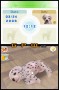 Nintendogs: Dalmatiner & Friends (Nintendo DS)
