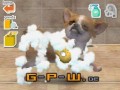 Nintendogs (Nintendo DS)