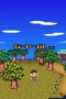 Animal Crossing Wild World (Nintendo DS)