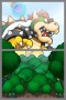 Mario & Luigi Abenteuer Bowser
