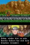 Naruto Shippuden Ninja Council 3