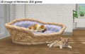 nintendogs + cats