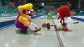 Mario & Sonic bei den Olympischen Winterspielen: Sotschi 2014