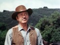 Rauchende Colts - Volume Vier (Staffel 16)