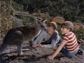 Skippy - Das Buschknguruh - Staffel 1