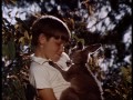 Skippy - Das Buschknguruh - Staffel 1